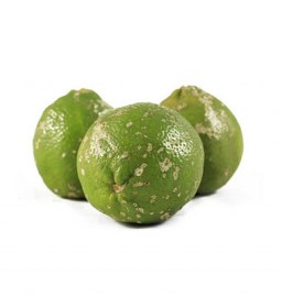 LIMON MANDARINO